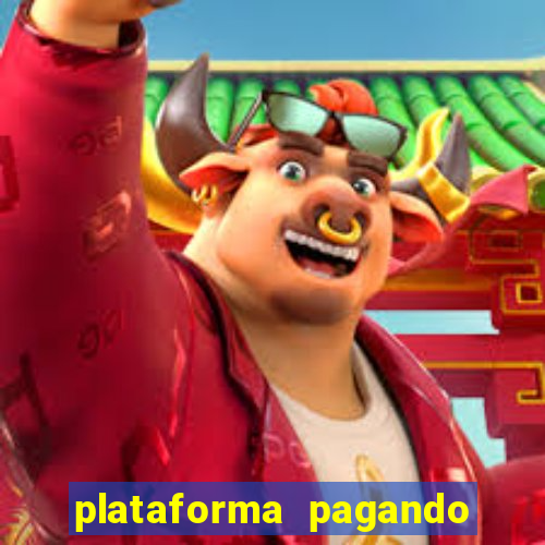 plataforma pagando no cadastro tigre